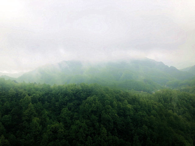 微信圖片_20210427104033.jpg